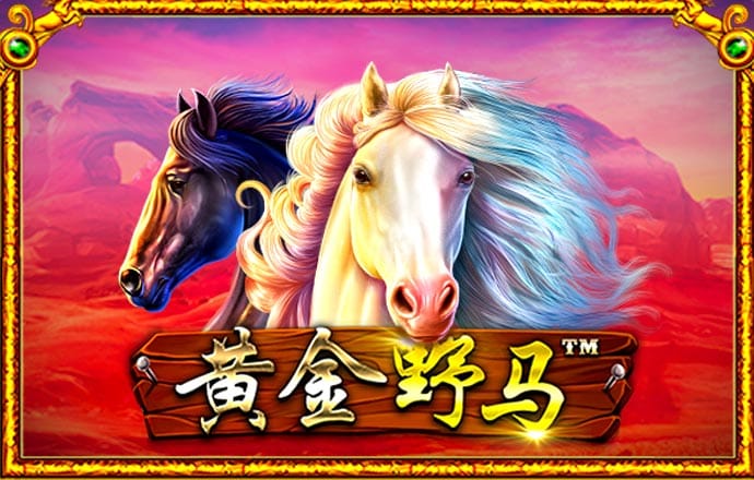 冠竞体育app官方网站注册